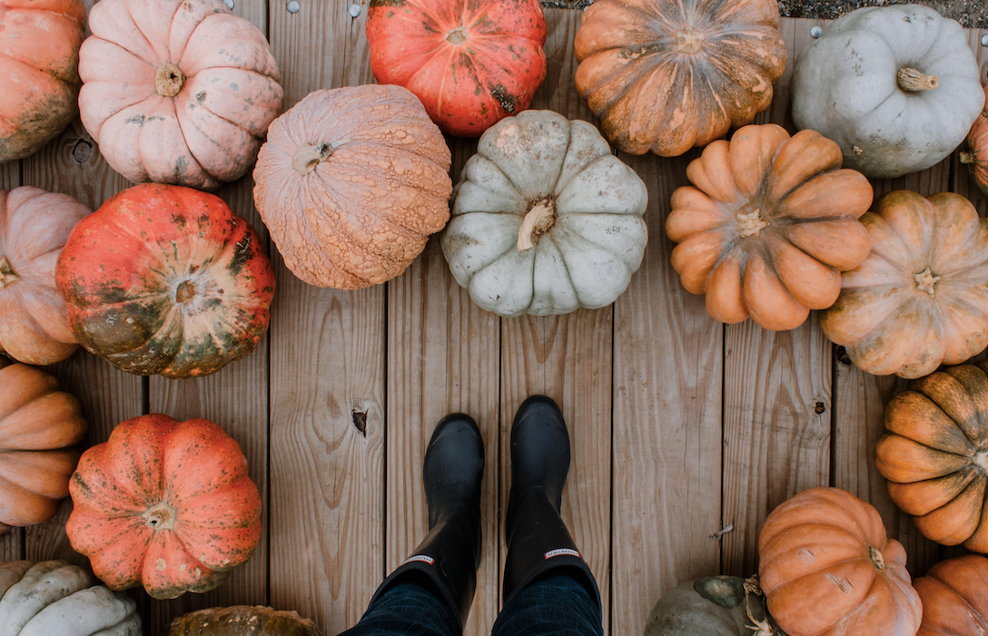 7 Ways to Upcycle your Pumpkin