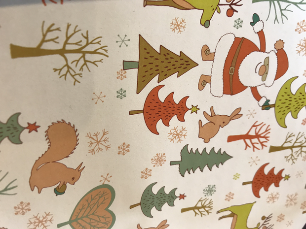 Recycled Gift Wrapping Paper - Winter Woods