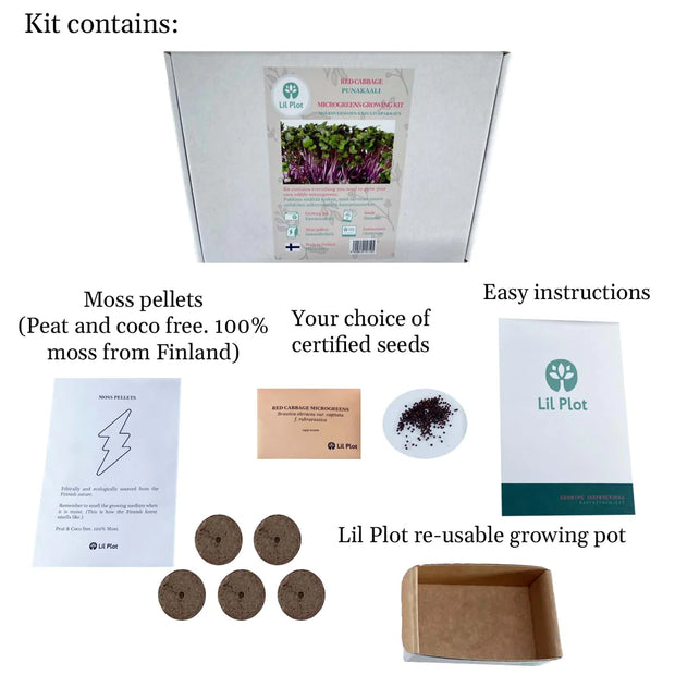 Grow Your Own Olive Tree Kit