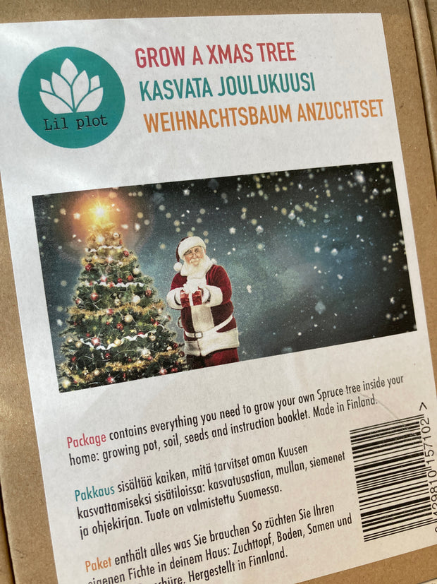 Grow Your Own Christmas Tree Kit  | Christmas Collection