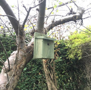 Nest Box | Made in Ireland
