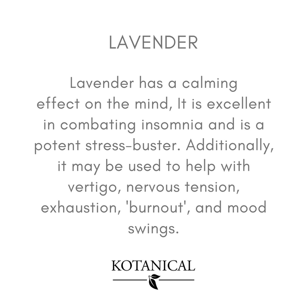 Lavender Essential Oil by Kotanicals