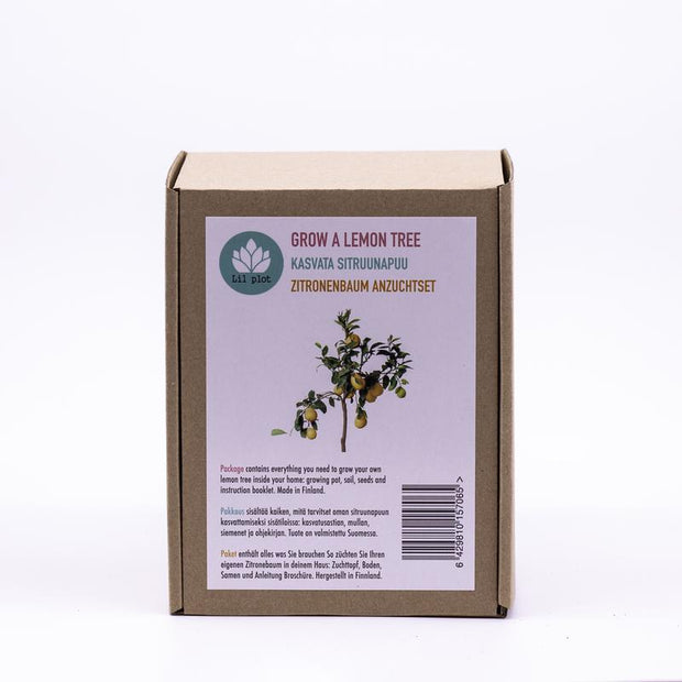 Grow Your Own Lemon Tree Kit